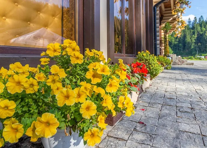 Turda 3* Буковель